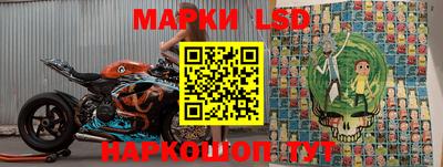 спайс Берёзовский