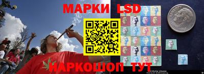 спайс Берёзовский